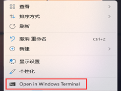 ôWin11ļУWin11鿴ļķ