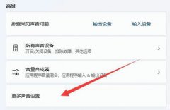 Win11��˷��޷��ҵ������豸�����ֽ������