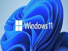 Win11ϵͳ֧ͼ