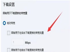 Win11ϵͳ��ô���ƺ�̨���ظ��µ��ٶȣ�