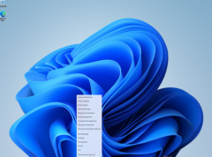 Win11��������Ӣ��������ô�죿Win11��������Ӣ�����˵Ľ������