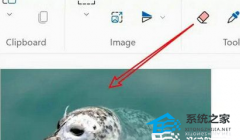 Win11��ͼ������ô����ͼƬ��С��