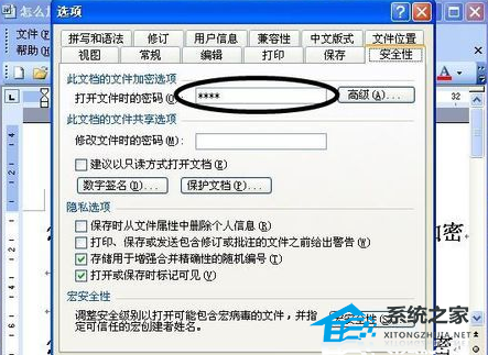 Word文档设置查看密码教学 Word文档如