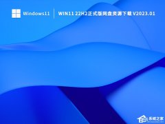 Win11_Win11°汾22H2ʽ(⼤)