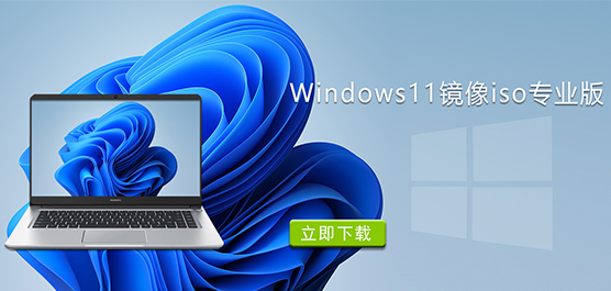 Windows11����isoרҵ������-Win11�ٷ�iso�����������