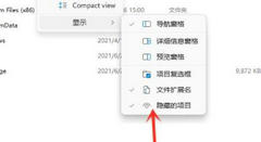 Win11��δ������ļ��У�Win11�������ļ��з���