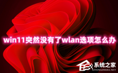 Win11ͻȻû����wlanѡ����ô�죿Win11�����������翴����wlan�Ľ������