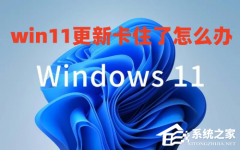 Win11ϵͳ���¿�ס��ô�죿Win11����ϵͳ��ס�Ľ������