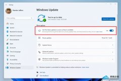΢Win11 Beta 22635.2419KB5031463ʮ¸·(־)