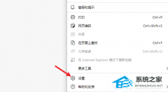 EdgeInternetѡɫ㲻˵Ľ