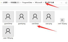 Win11�˻�ͷ����ô�ָ�Ĭ��-Win11�˻�Ĭ��ͷ�����÷���