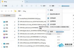 Win11�ļ���չ����ʾ/���ص�����ʵ�ü���