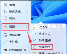 Win11�򿪴��ļ��е��Ժܿ������ֽ������