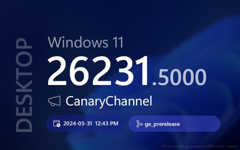 ΢Win11 Canary 26231¸£