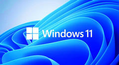 Win11´0x800f0805Ľ
