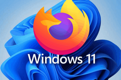  Win11 Ǩ豸ó¹ʵָͬ