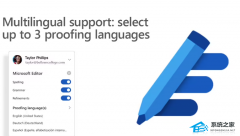 ΢ûת Edge ̭ Microsoft Editor 
