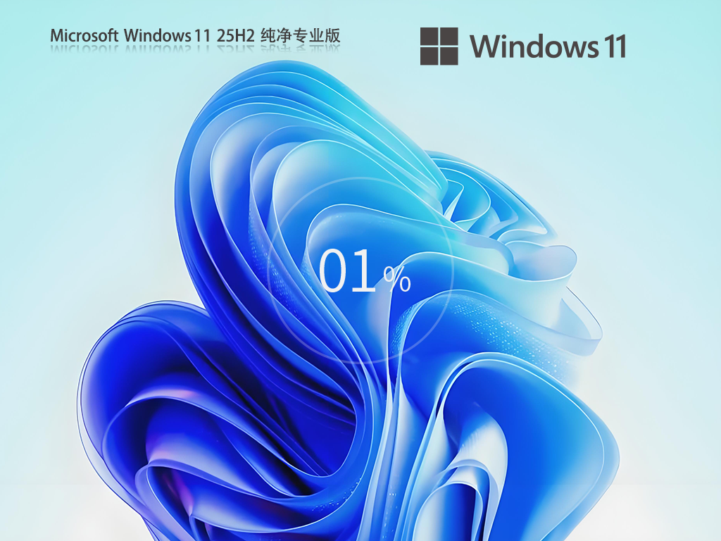 Windows11 25H2 רҵϵͳ