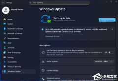 Windows 11 װʮ¸º bugԶӲ