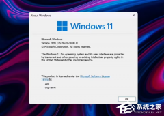Canary ֧ʼ Windows 11 Build 2800026H126H1 ʽǳ