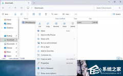 ΢������ Win11 Canary 28020.1863/29570.1000 Ԥ���棡������������־