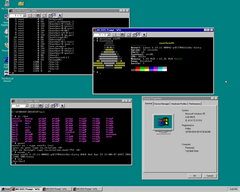 WSL9x ���߰�������Win98/Win95 ���� Linux 6.19 �ں˳���ʵ