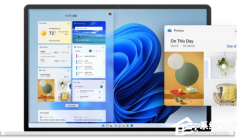 ΢����Ĭ������ Windows 11 С��� MSN ��Ѷ����