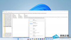 ���ͨ���޸�ע������� Windows 11 �豸��������