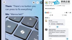 ΢������ Copilot ���߱��������������� Copilot ������ Win11 ʹ������