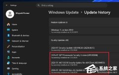 Win11 �����ۻ��������ǵ��µ�������������֤�鱨������������