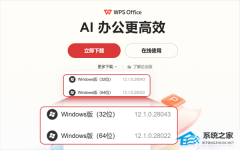 WPS ���ߴ洢�������ܣ�Ϊ�û��Ż� C ��ռ������