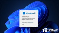 ΢�� Win11 ���¿�ѡ���²����� bug���������ʽʧЧ
