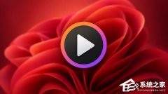 ΢�� WMPL ����Ƥ��������ǰͣ�ã�Win11 24H2/25H2/26H2 ��Ӱ��