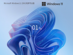 Windows11 23H2 רҵISO