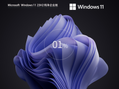 Windows11 23H2 64λ ҵ